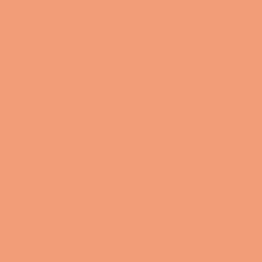 ALCHYMIST Paint - 14 - Image 3