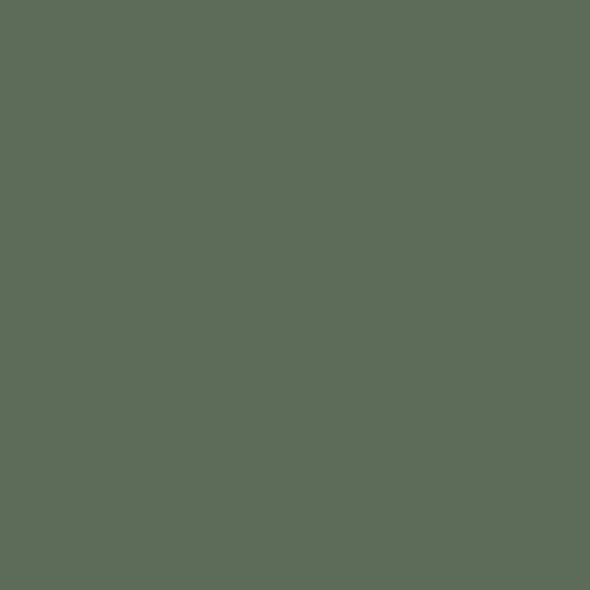 HEDERA Paint - 35 - Image 3
